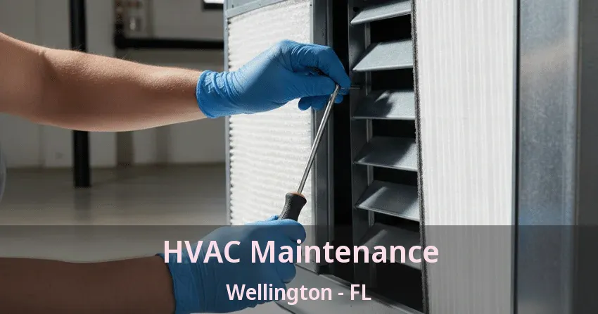 HVAC Maintenance Wellington - FL